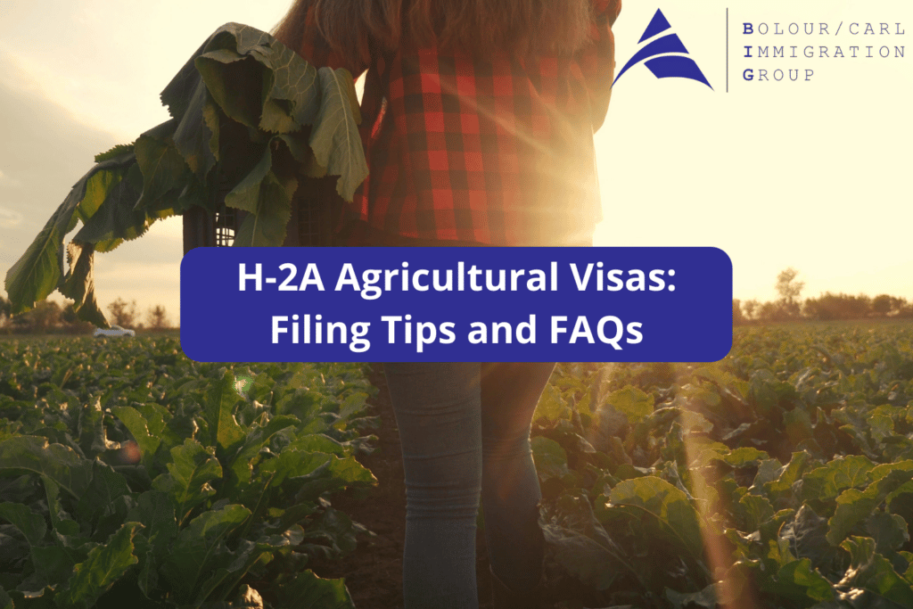 agricultural visa tips
