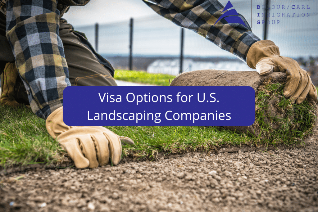 landscaping visa options