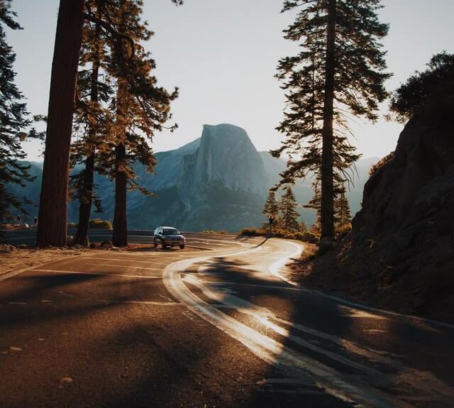 Road in the woods