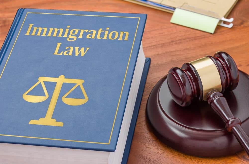 immigration lawyer