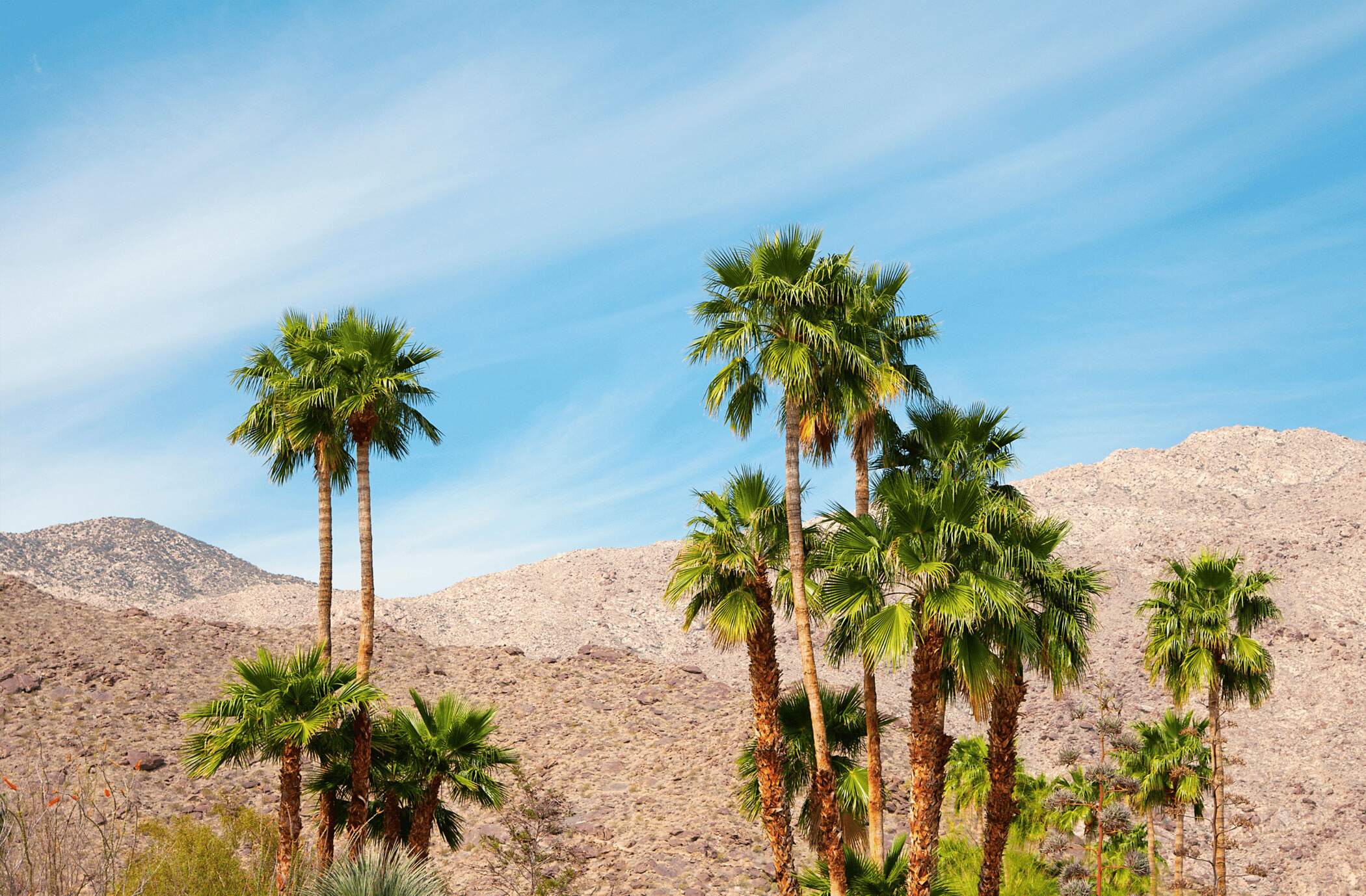 Bolour Carl Immigration Group - Palm Springs, CA Immigration Law Firm